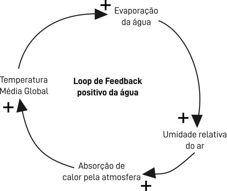 Loop de Feedback da Água