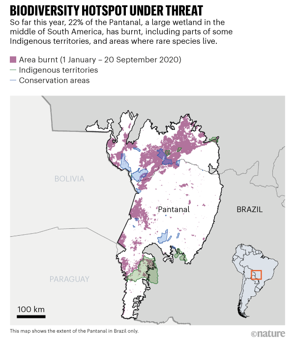 Um mapa do Pantanal com uma divisão entre sua área queimada, áreas de conservação ambiental e reservas indígenas.
